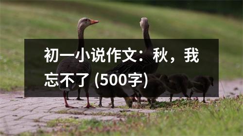 初一小說作文：秋，我忘不了 (500字)