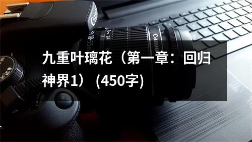 九重葉璃花（第一章：回歸神界1） (450字)