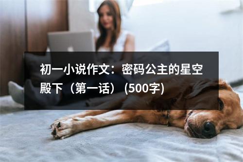 初一小說作文：密碼公主的星空殿下（第一話） (500字)