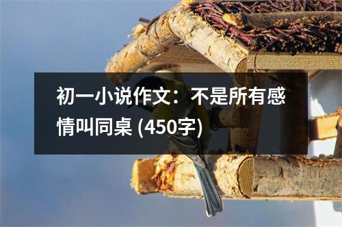 初一小說作文：不是所有感情叫同桌 (450字)