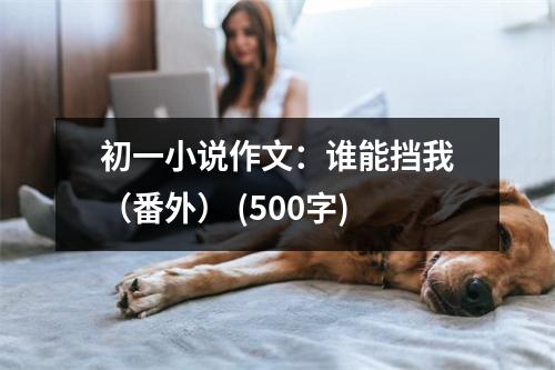 初一小說作文：誰能擋我（番外） (500字)