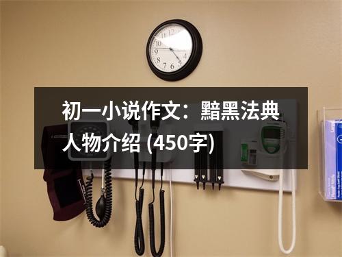初一小說作文：黯黑法典人物介紹 (450字)