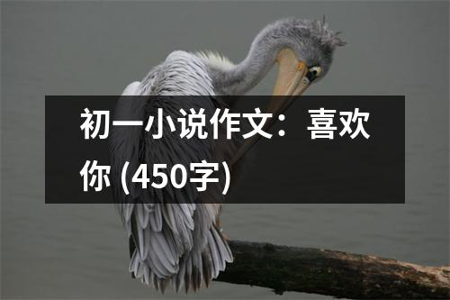 初一小說作文：喜歡你 (450字)