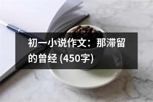 初一小說作文：那滯留的曾經(jīng) (450字)