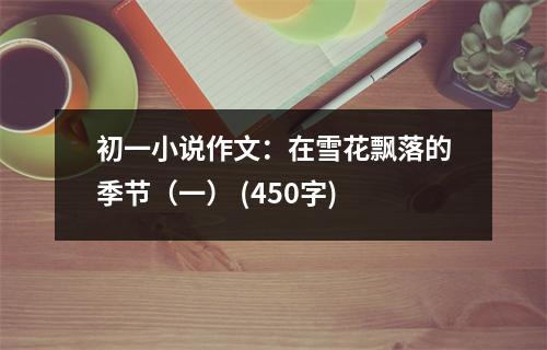 初一小說作文：在雪花飄落的季節(jié)（一） (450字)
