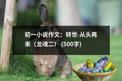 初一小說作文：轉世-從頭再來（龍魂二） (500字)