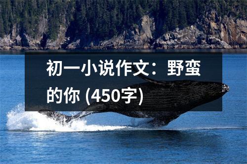 初一小說(shuō)作文：野蠻的你 (450字)