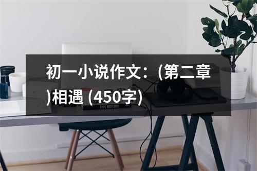 初一小說(shuō)作文：(第二章)相遇 (450字)