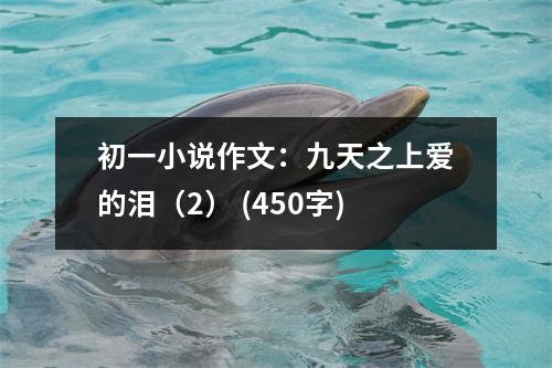 初一小說(shuō)作文：九天之上愛(ài)的淚（2） (450字)
