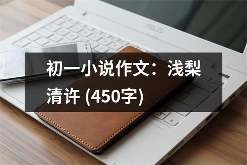 初一小說(shuō)作文：淺梨清許 (450字)