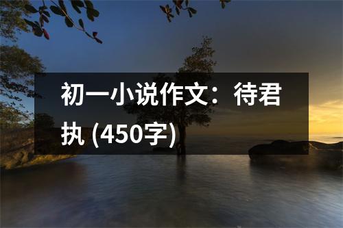 初一小說(shuō)作文：待君執(zhí) (450字)