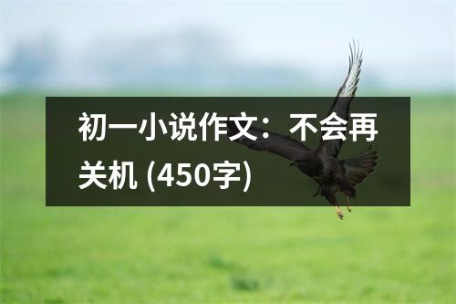 初一小說作文：不會再關(guān)機(jī) (450字)