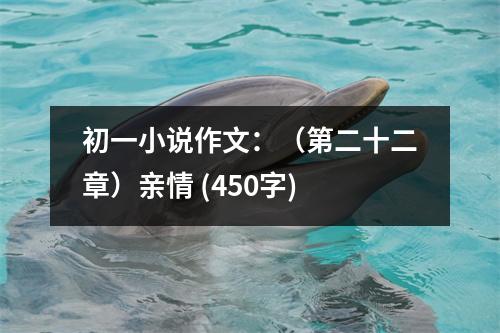 初一小說作文：（第二十二章）親情 (450字)