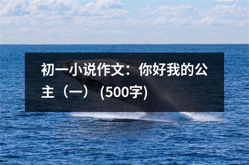 初一小說作文：你好我的公主（一） (500字)