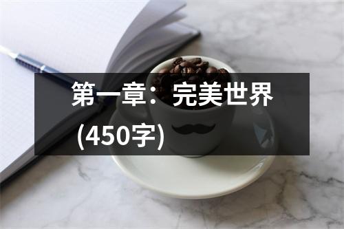 第一章：完美世界 (450字)