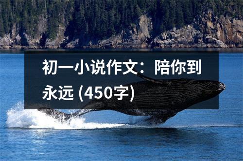 初一小說作文：陪你到永遠(yuǎn) (450字)