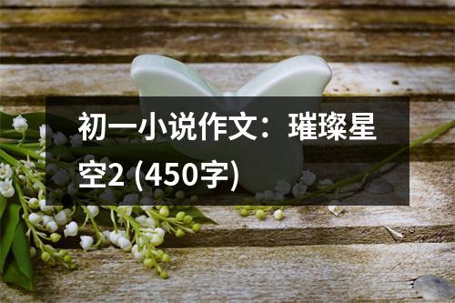 初一小說作文：璀璨星空2 (450字)