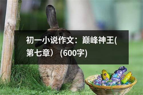 初一小說作文：巔峰神王(第七章） (600字)