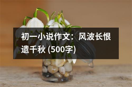 初一小說(shuō)作文：風(fēng)波長(zhǎng)恨遺千秋 (500字)