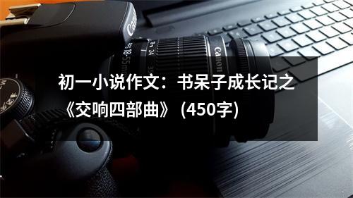 初一小說(shuō)作文：書(shū)呆子成長(zhǎng)記之《交響四部曲》 (450字)