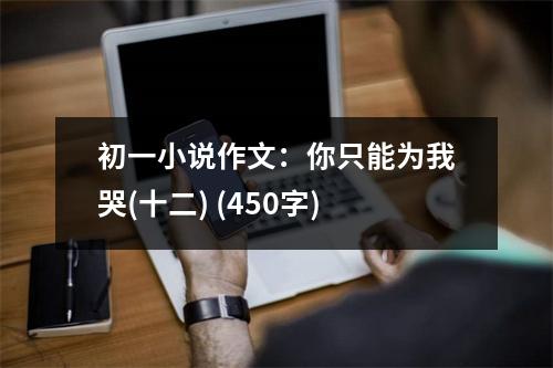 初一小說(shuō)作文：你只能為我哭(十二) (450字)