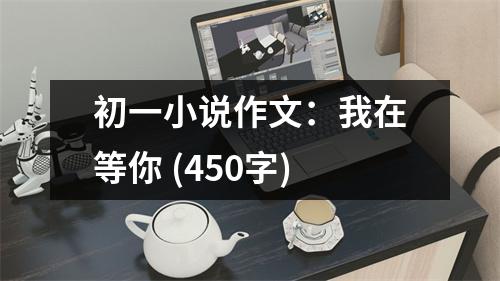 初一小說(shuō)作文：我在等你 (450字)