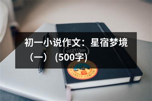 初一小說作文：星宿夢境（一） (500字)