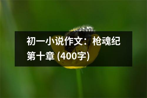 初一小說作文：槍魂紀(jì)第十章 (400字)