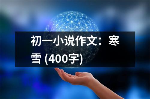 初一小說作文：寒雪 (400字)