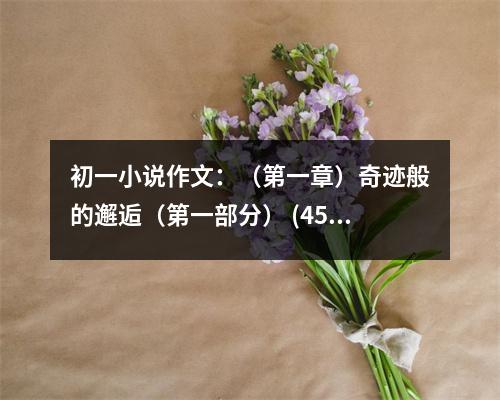 初一小說作文：（第一章）奇跡般的邂逅（第一部分） (450字)