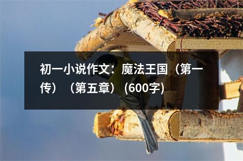 初一小說作文：魔法王國（第一傳）（第五章） (600字)