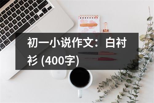 初一小說作文：白襯衫 (400字)