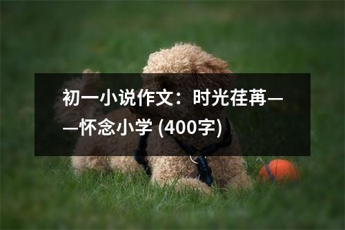 初一小說作文：時光荏苒——懷念小學 (400字)