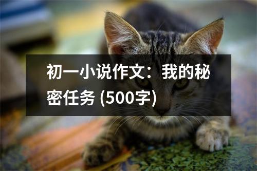 初一小說作文：我的秘密任務(wù) (500字)