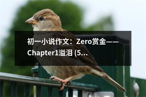 初一小說作文：Zero賞金——Chapter1溢淚 (500字)