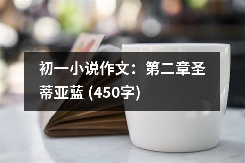 初一小說作文：第二章圣蒂亞藍(lán) (450字)