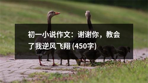 初一小說作文：謝謝你，教會了我逆風飛翔 (450字)