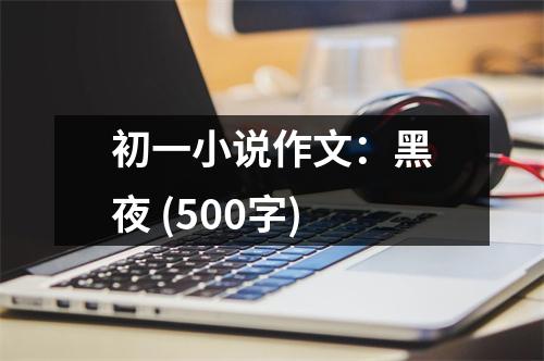 初一小說作文：黑夜 (500字)