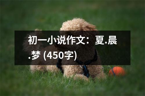初一小說作文：夏.晨.夢 (450字)