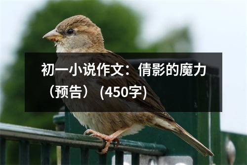 初一小說作文：倩影的魔力（預告） (450字)