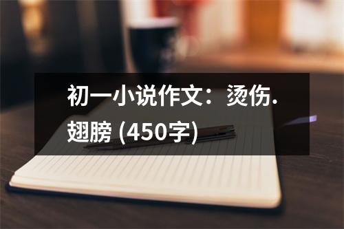初一小說作文：燙傷.翅膀 (450字)