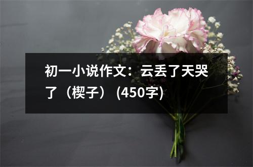 初一小說作文：云丟了天哭了（楔子） (450字)