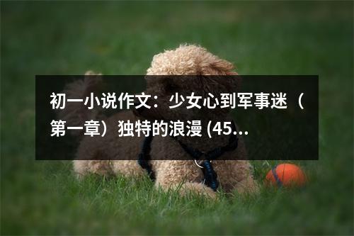 初一小說作文：少女心到軍事迷（第一章）獨(dú)特的浪漫 (450字)
