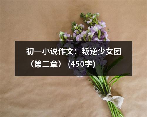 初一小說作文：叛逆少女團(tuán)（第二章） (450字)