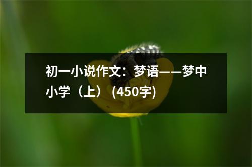 初一小說作文：夢(mèng)語——夢(mèng)中小學(xué)（上） (450字)
