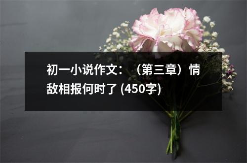 初一小說作文：（第三章）情敵相報(bào)何時(shí)了 (450字)