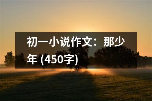 初一小說作文：那少年 (450字)