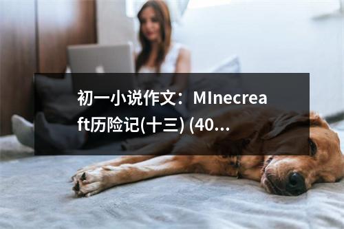 初一小說作文：MInecreaft歷險(xiǎn)記(十三) (400字)