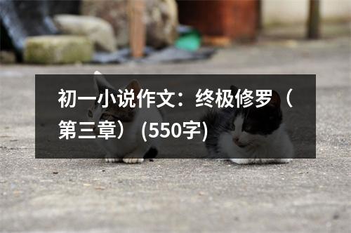 初一小說作文：終極修羅（第三章） (550字)