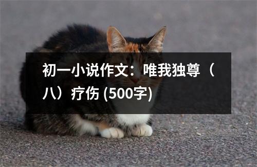 初一小說作文：唯我獨(dú)尊（八）療傷 (500字)